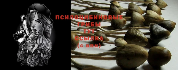 стаф Инта