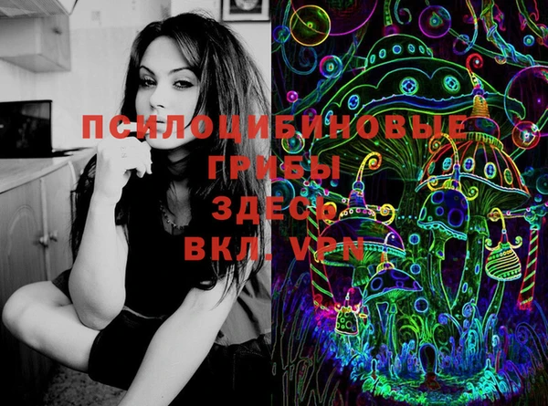 стаф Инта