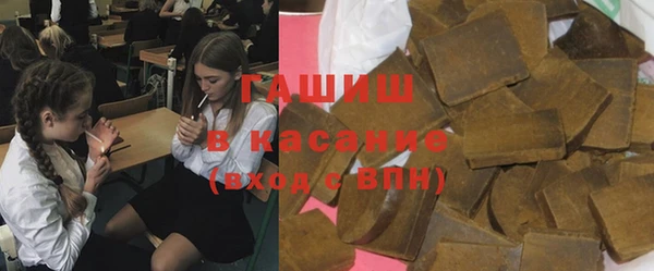 стаф Инта