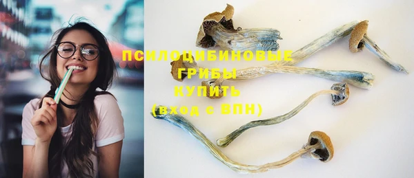 дживик Инсар