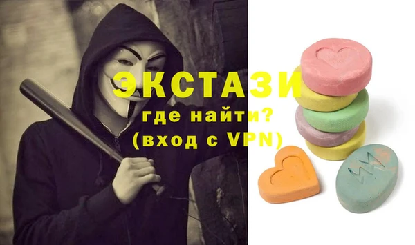 стаф Инта