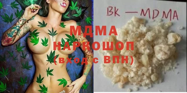 стаф Инта