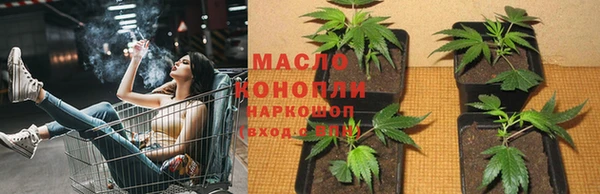 дживик Инсар