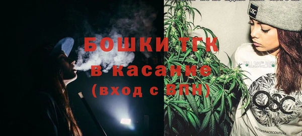 дживик Инсар
