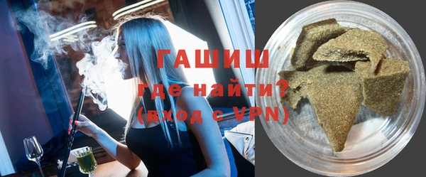 стаф Инта