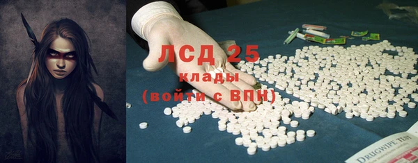стаф Инта