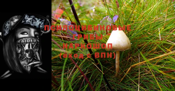 мескалин Каменка