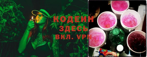 стаф Инта