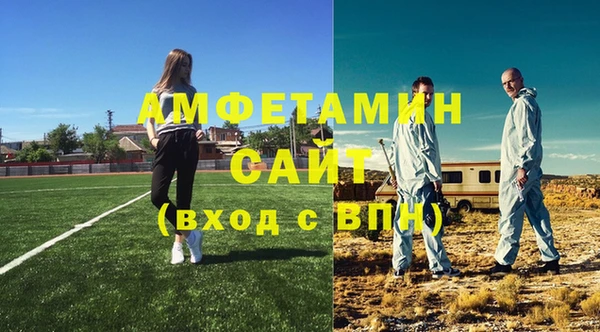 стаф Инта