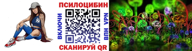 Купить где  Змеиногорск  Псилоцибиновые грибы GOLDEN TEACHER 